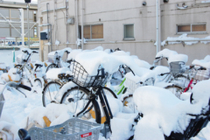 冬の自転車置き場