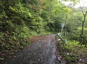 現況