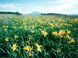 10 木造町