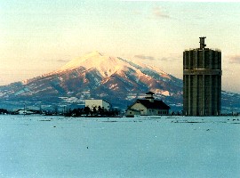 17 板柳町