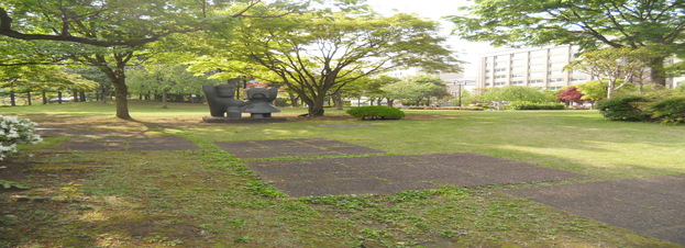 青い森公園＿草はらの広場