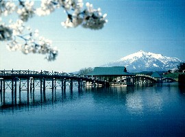 20 鶴田町