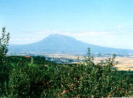 24 黒石市