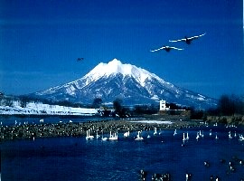 28 藤崎町