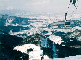 29 大鰐町