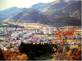 35 碇ヶ関村