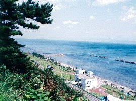 3 蟹田町