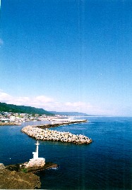 40 東通村