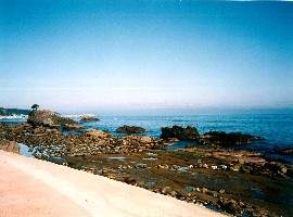 41 風間浦村