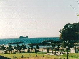 43 脇野沢村