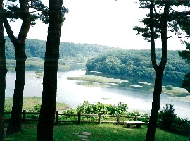 45 三沢市