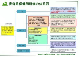 研修の体系図