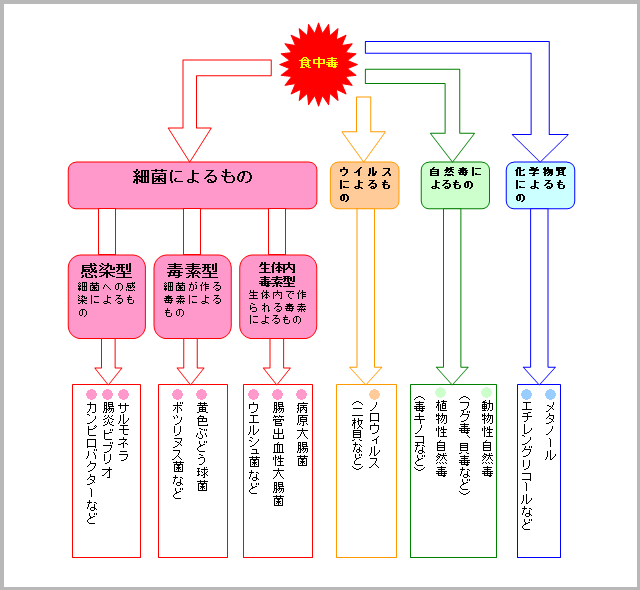 食中毒の種類 食中毒の種類