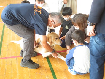 災害救助犬２