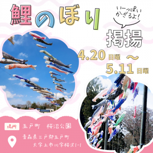 桜沼公園の鯉のぼり掲揚