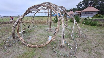 展示の様子