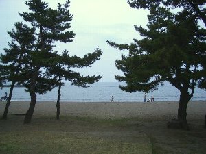合浦公園 合浦公園