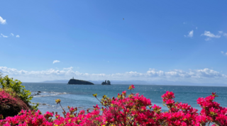 鯛島（牛の首農村公園）