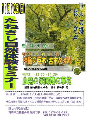 H25+自然体験セミナー ポスター