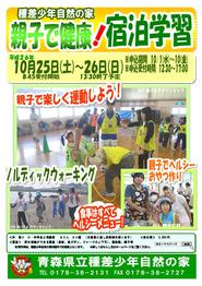 親子の絆 ポスター