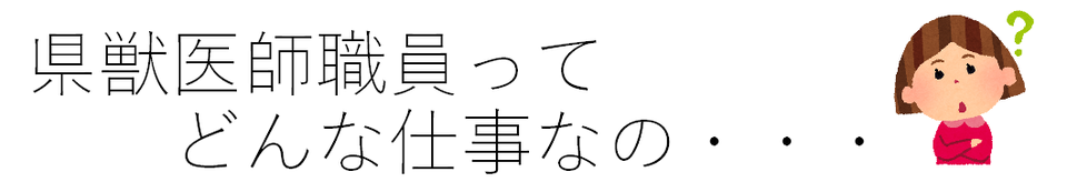 県獣医師職員て、どんな仕事なの