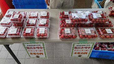 販売風景