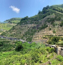 先進地視察（和歌山県有田市）