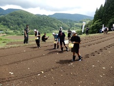 棚田体験学習会