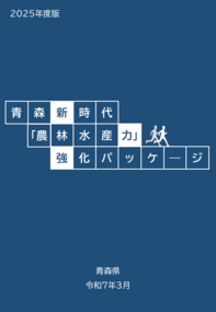 強化パッケージ