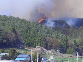 五戸町扇田の森林火災(平成17年5月4日) 写真森林火災
