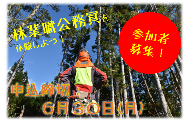 林業職インターンシップ参加者募集中！