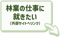 林業の仕事について知りたい場合はこちらをクリック