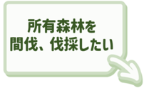 所有森林の間伐や伐採に関する内容はこちらをクリック