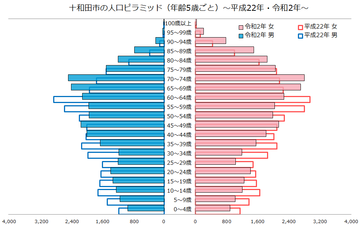 十和田市人口ピラミッド