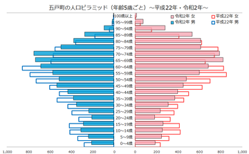 五戸町人口ピラミッド